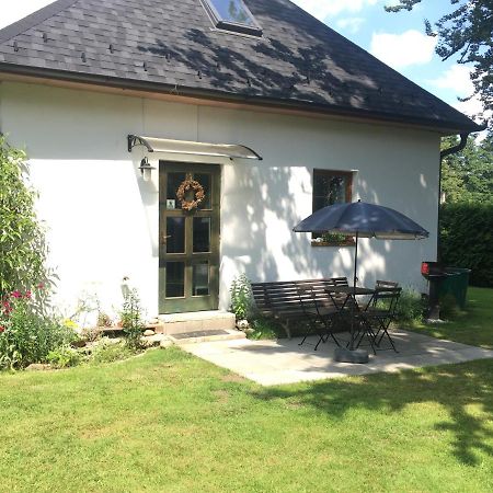 Apartman U Pamatneho Stromu Apartment Ceska Lipa Luaran gambar