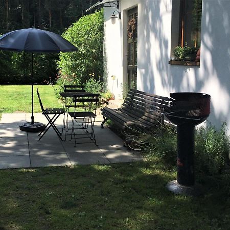 Apartman U Pamatneho Stromu Apartment Ceska Lipa Luaran gambar