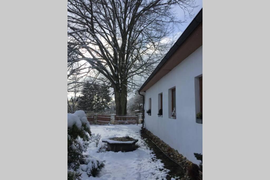 Apartman U Pamatneho Stromu Apartment Ceska Lipa Luaran gambar