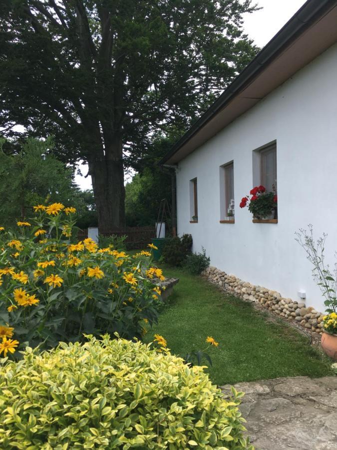 Apartman U Pamatneho Stromu Apartment Ceska Lipa Luaran gambar