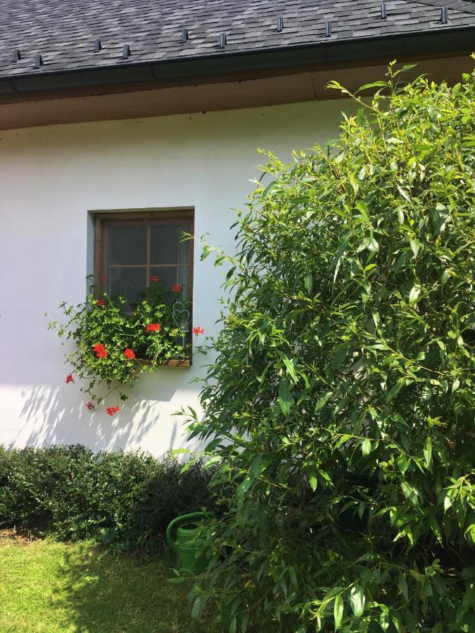 Apartman U Pamatneho Stromu Apartment Ceska Lipa Luaran gambar