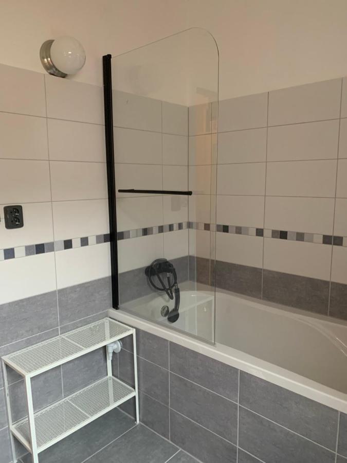 Apartman U Pamatneho Stromu Apartment Ceska Lipa Luaran gambar