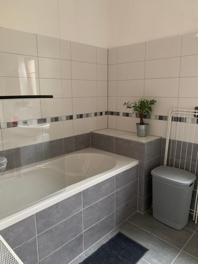 Apartman U Pamatneho Stromu Apartment Ceska Lipa Luaran gambar